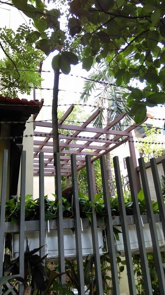 công trình giàn hoa gỗ