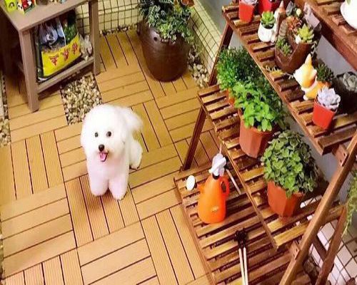 sàn gỗ ban công giá rẻ