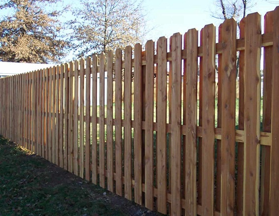 hàng rào gỗ thông